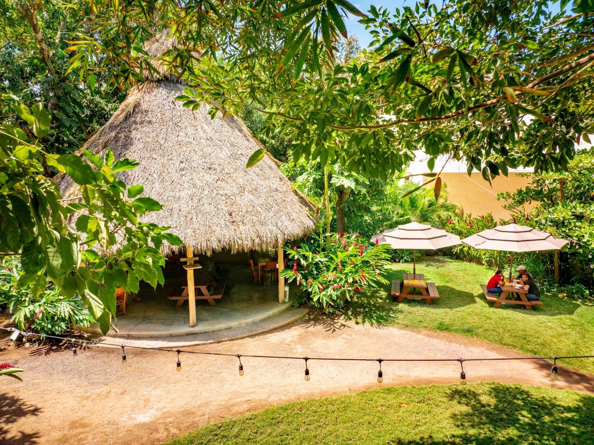 Hotel Villas Sayulita Zewnętrze zdjęcie